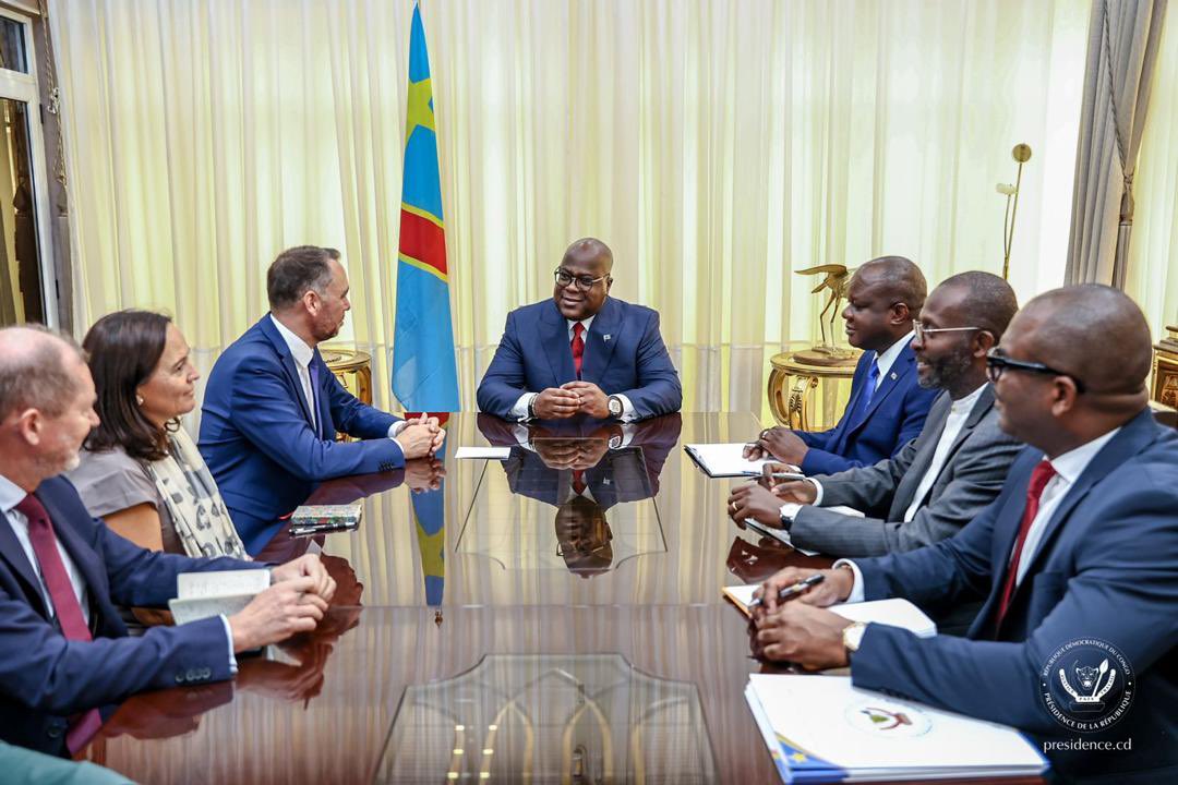 RDC : LA BELGIQUE VEUT REMETTRE LE CONFLIT MILITAIRE DANS L'AGENDA DE L'UNION EUROPÉENNE