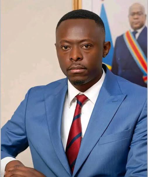 RDC: TEDDY LWAMBA NOMMÉ DIRECTEUR GÉNÉRAL DE LA SOCIÉTÉ NATIONALE DE L'ÉLECTRICITÉ