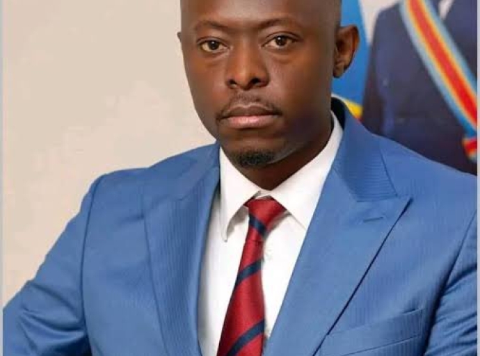 RDC: TEDDY LWAMBA NOMMÉ DIRECTEUR GÉNÉRAL DE LA SOCIÉTÉ NATIONALE DE L'ÉLECTRICITÉ